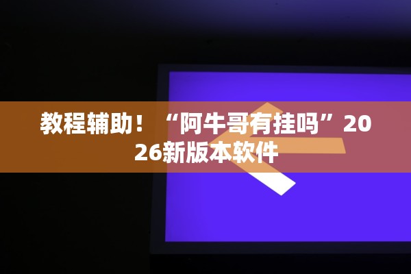 教程辅助！“阿牛哥有挂吗”2026新版本软件