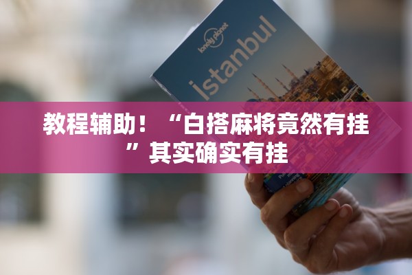 教程辅助！“白搭麻将竟然有挂”其实确实有挂
