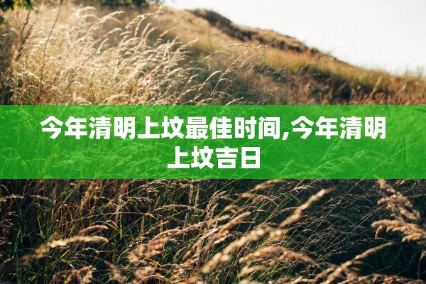 今年清明上坟最佳时间,今年清明上坟吉日 今年清明上坟最佳时间,今年清明上坟吉日