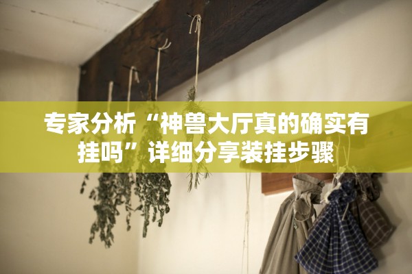 专家分析“神兽大厅真的确实有挂吗”详细分享装挂步骤