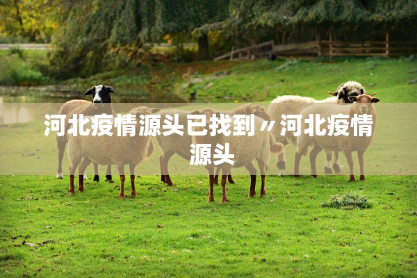 河北疫情源头已找到〃河北疫情 源头 河北疫情源头已找到〃河北疫情 源头