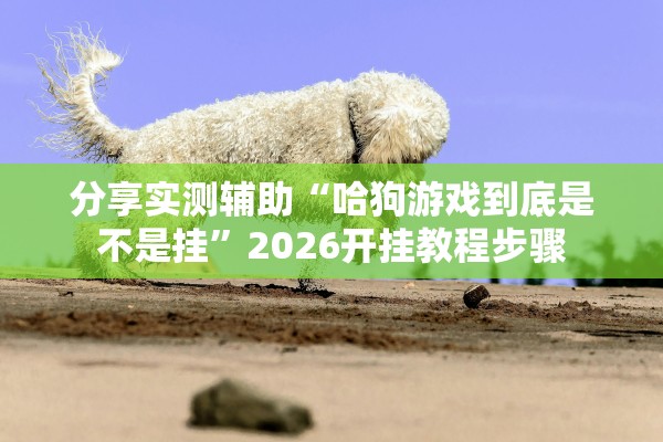 分享实测辅助“哈狗游戏到底是不是挂”2026开挂教程步骤