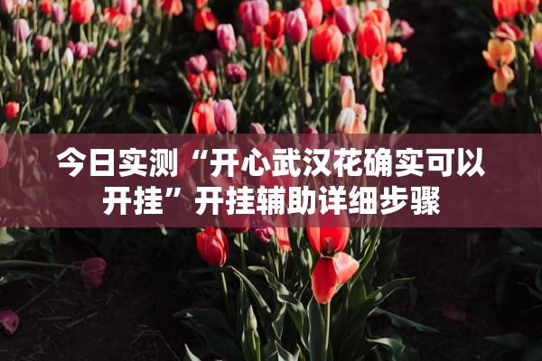 今日实测“开心武汉花确实可以开挂”开挂辅助详细步骤