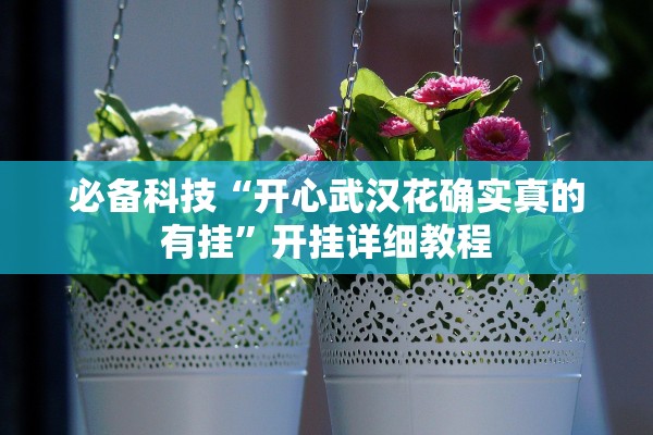 必备科技“开心武汉花确实真的有挂”开挂详细教程