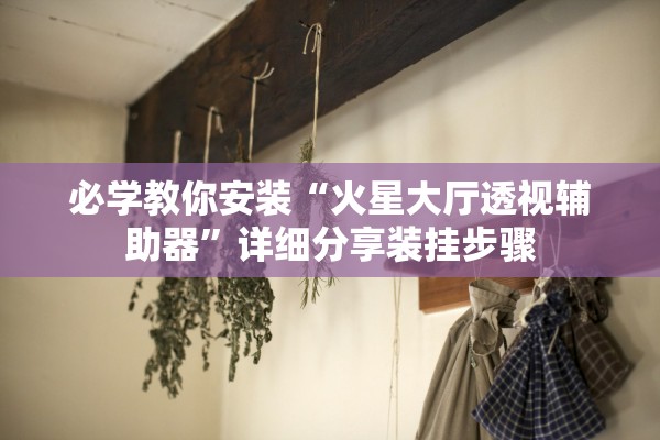 必学教你安装“火星大厅透视辅助器	”详细分享装挂步骤