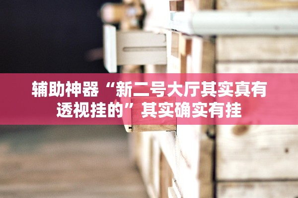 辅助神器“新二号大厅其实真有透视挂的”其实确实有挂