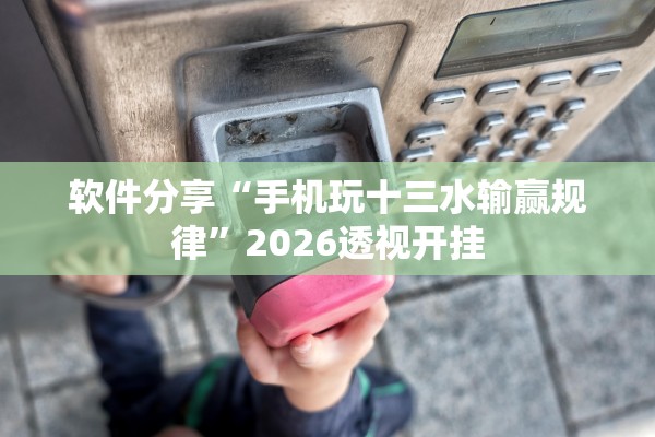 软件分享“手机玩十三水输赢规律	”2026透视开挂