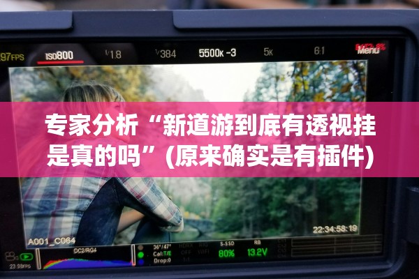 专家分析“新道游到底有透视挂是真的吗	”(原来确实是有插件)