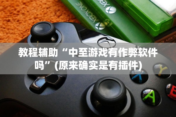 教程辅助“中至游戏有作弊软件吗”(原来确实是有插件)