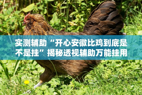 实测辅助“开心安徽比鸡到底是不是挂”揭秘透视辅助万能挂用法