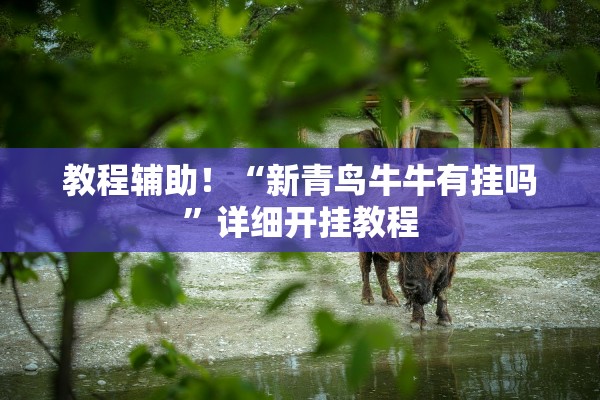 教程辅助！“新青鸟牛牛有挂吗	”详细开挂教程