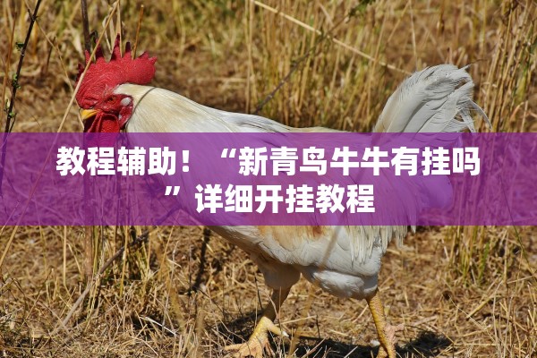 教程辅助！“新青鸟牛牛有挂吗”详细开挂教程