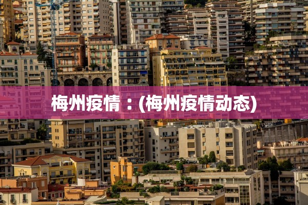 梅州疫情︰(梅州疫情动态)