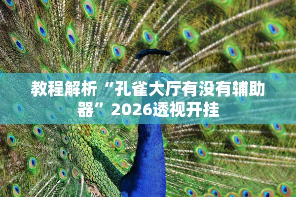 教程解析“孔雀大厅有没有辅助器”2026透视开挂