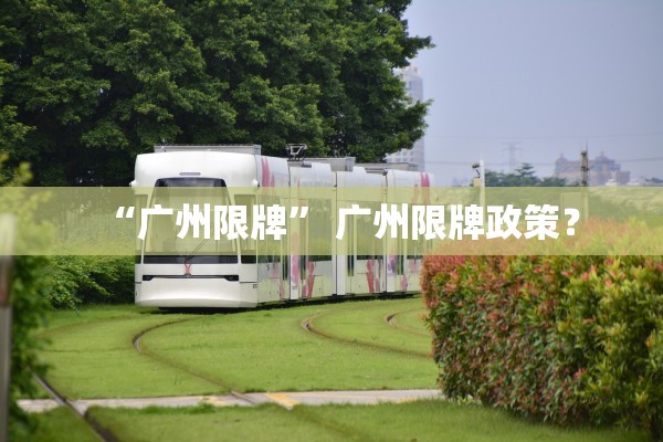 “广州限牌” 广州限牌政策？