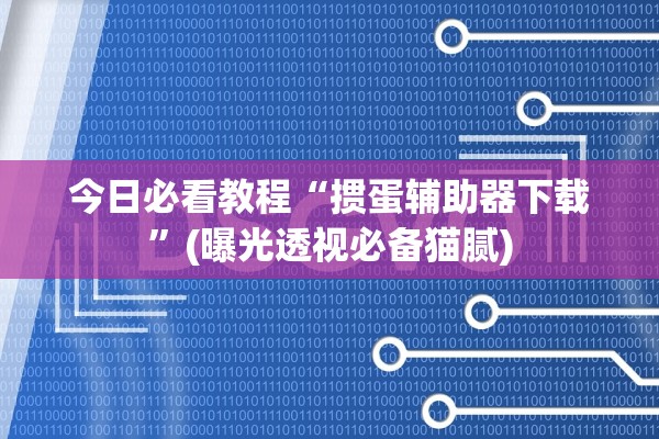 今日必看教程“掼蛋辅助器下载”(曝光透视必备猫腻)