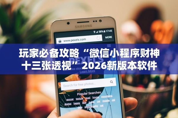 玩家必备攻略“微信小程序财神十三张透视	”2026新版本软件