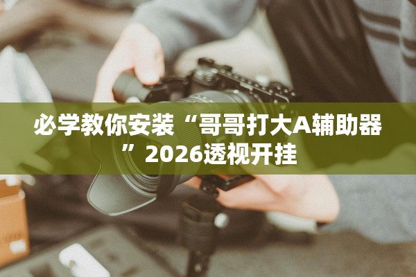 必学教你安装“哥哥打大A辅助器”2026透视开挂