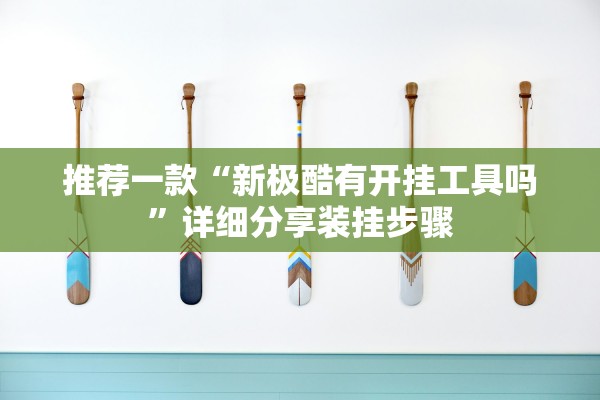 推荐一款“新极酷有开挂工具吗”详细分享装挂步骤