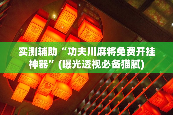 实测辅助“功夫川麻将免费开挂神器”(曝光透视必备猫腻)