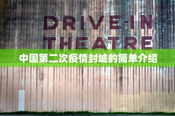 中国第二次疫情封城的简单介绍