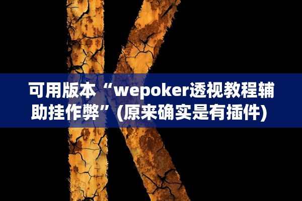 可用版本“wepoker透视教程辅助挂作弊”(原来确实是有插件) 