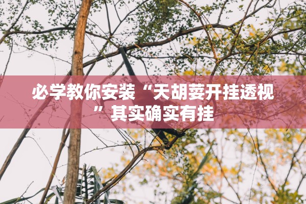 必学教你安装“天胡荽开挂透视”其实确实有挂