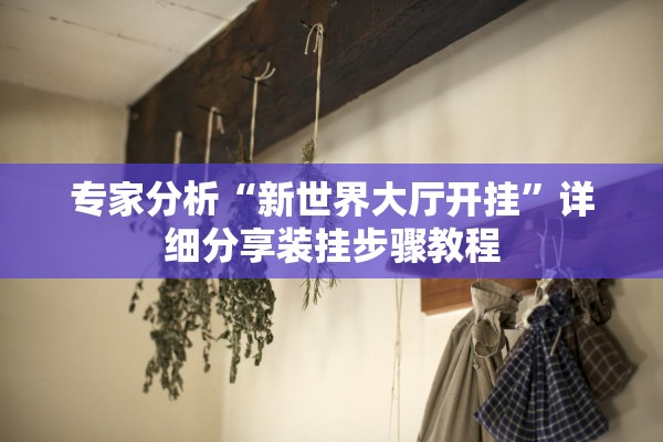 专家分析“新世界大厅开挂”详细分享装挂步骤教程