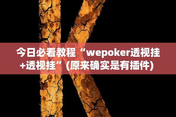 今日必看教程“wepoker透视挂+透视挂”(原来确实是有插件) 