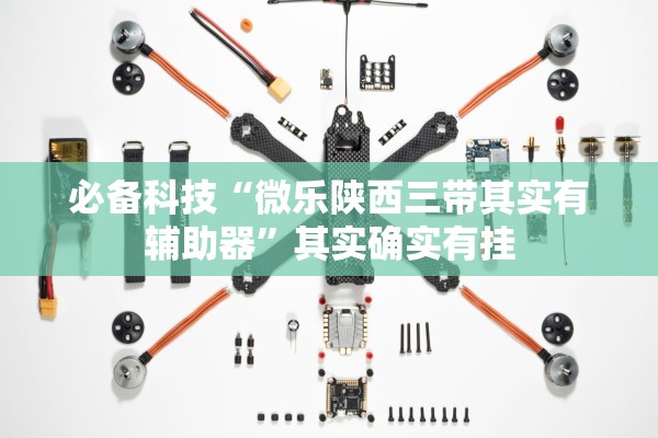 必备科技“微乐陕西三带其实有辅助器	”其实确实有挂