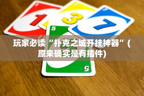 玩家必读“扑克之城开挂神器”(原来确实是有插件)