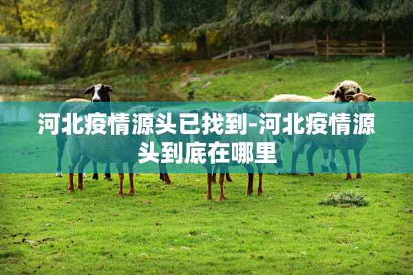 河北疫情源头已找到-河北疫情源头到底在哪里