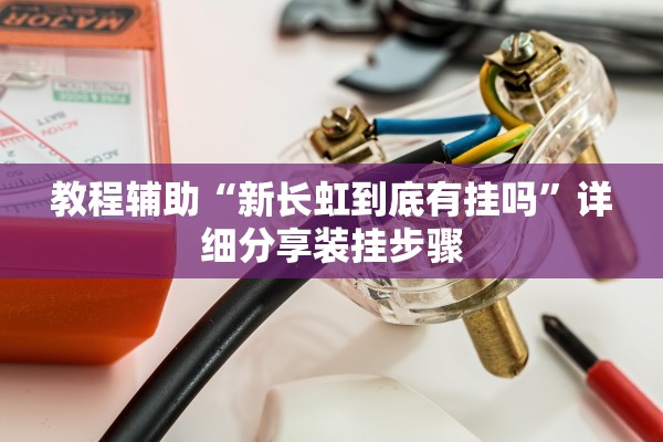教程辅助“新长虹到底有挂吗	”详细分享装挂步骤