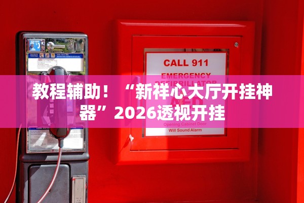 教程辅助！“新祥心大厅开挂神器”2026透视开挂