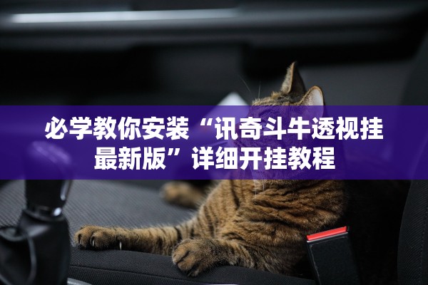 必学教你安装“讯奇斗牛透视挂最新版”详细开挂教程
