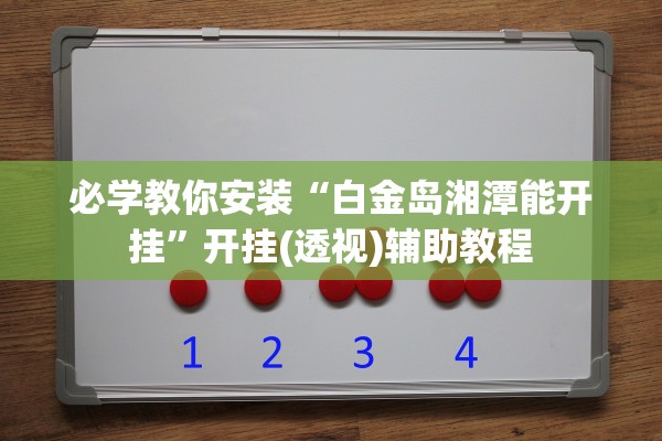 必学教你安装“白金岛湘潭能开挂”开挂(透视)辅助教程