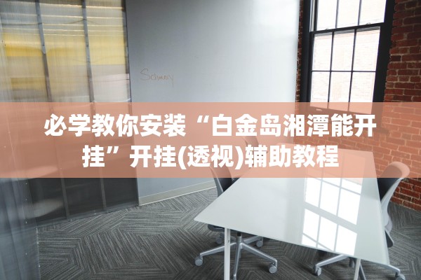 必学教你安装“白金岛湘潭能开挂”开挂(透视)辅助教程