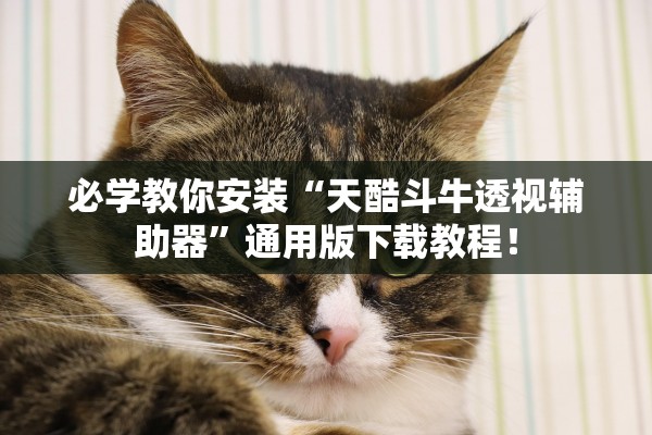 必学教你安装“天酷斗牛透视辅助器	”通用版下载教程！