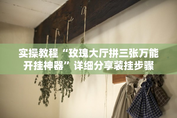 实操教程“玫瑰大厅拼三张万能开挂神器”详细分享装挂步骤