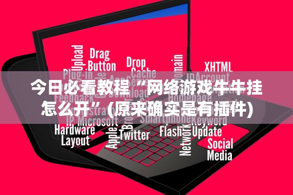 今日必看教程“网络游戏牛牛挂怎么开”(原来确实是有插件)