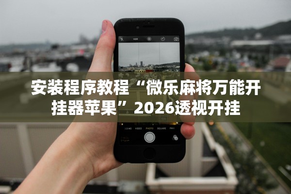 安装程序教程“微乐麻将万能开挂器苹果”2026透视开挂