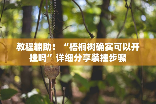 教程辅助！“梧桐树确实可以开挂吗	”详细分享装挂步骤