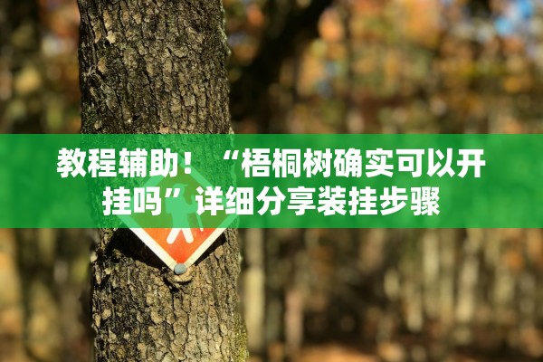 教程辅助！“梧桐树确实可以开挂吗”详细分享装挂步骤