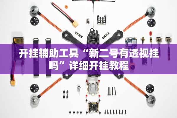 开挂辅助工具“新二号有透视挂吗”详细开挂教程