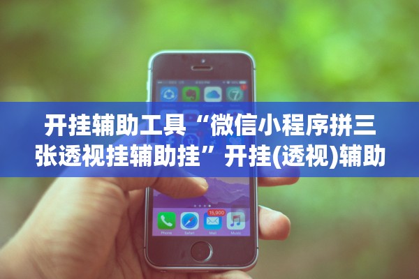 开挂辅助工具“微信小程序拼三张透视挂辅助挂”开挂(透视)辅助教程