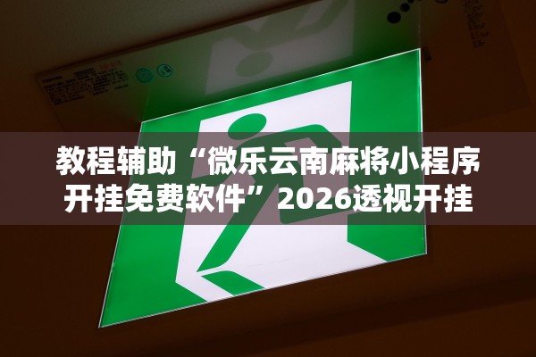 教程辅助“微乐云南麻将小程序开挂免费软件”2026透视开挂