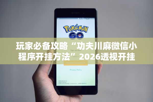 玩家必备攻略“功夫川麻微信小程序开挂方法”2026透视开挂