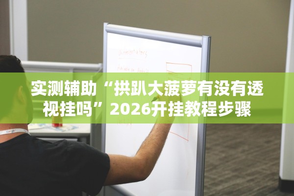 实测辅助“拱趴大菠萝有没有透视挂吗	”2026开挂教程步骤