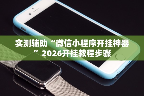 实测辅助“微信小程序开挂神器”2026开挂教程步骤