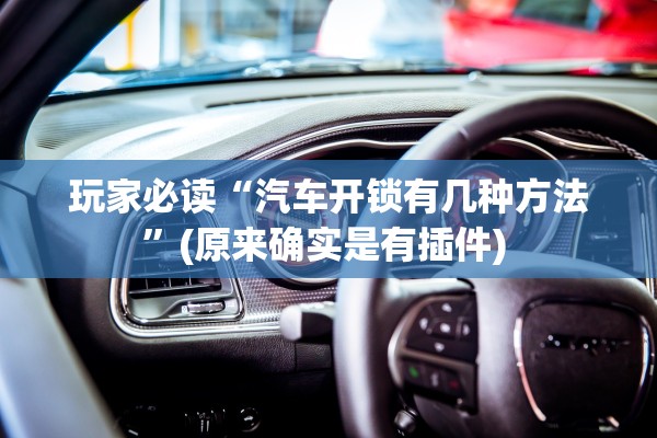 玩家必读“汽车开锁有几种方法”(原来确实是有插件) 